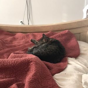 Meet your Posher, Rosa